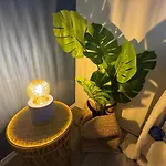 Lejlighed Boho Zirbe Blue
